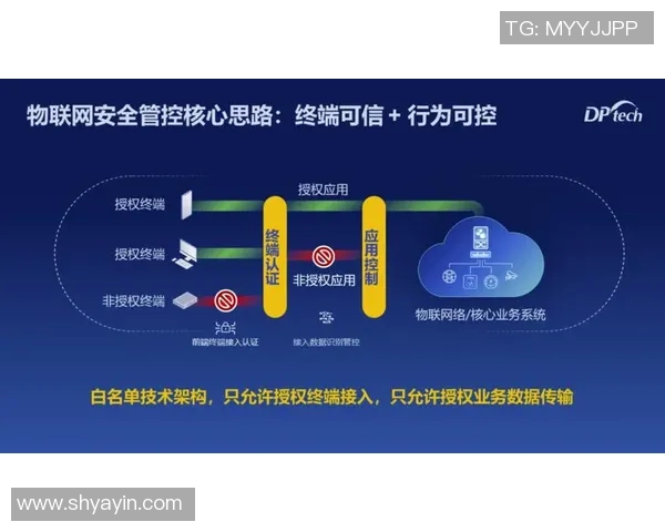 杭州足球队的控制策略与发展前景深度解析